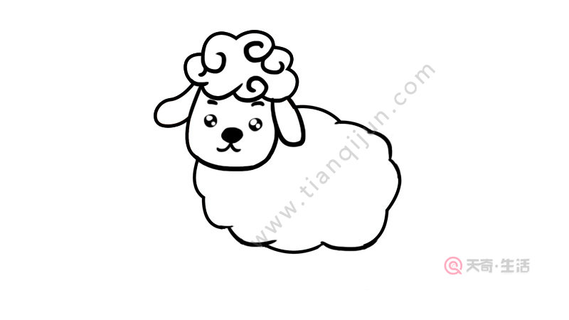 然后画出羊的四肢和尾巴.