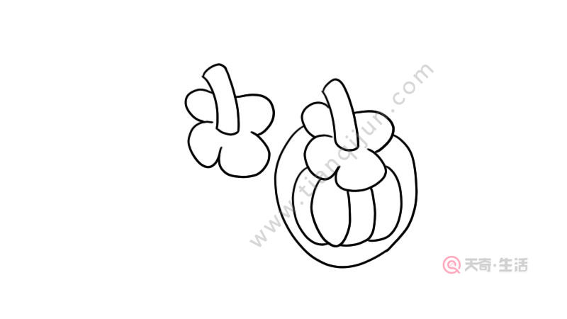 山竹简笔画 山竹简笔画步骤