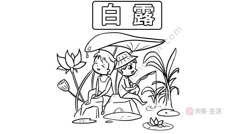 白露手抄报 白露手抄报的画法