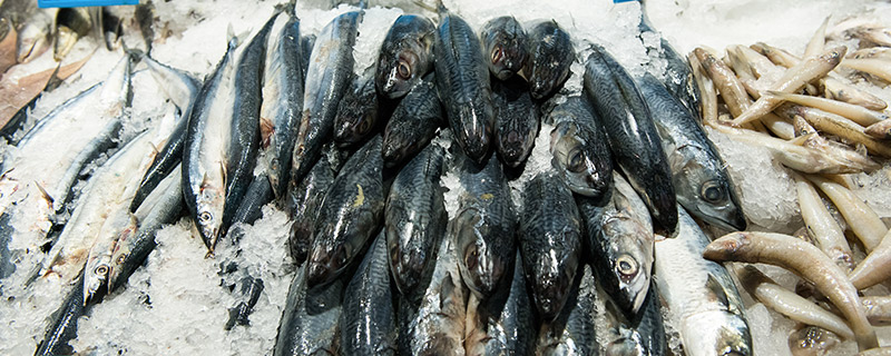 鱼肉价格上涨是什么情况 鱼肉价格上涨是怎么回事