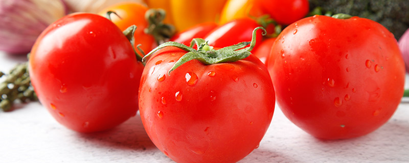 没成熟的西红柿能吃吗