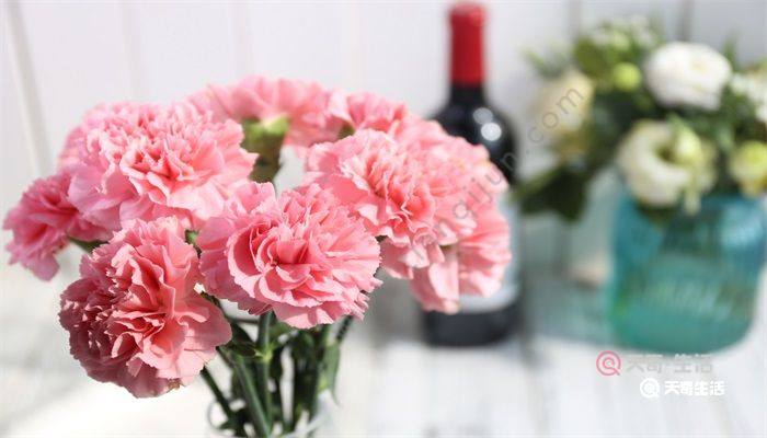 母亲节送妈妈什么花 母亲节适合送妈妈的花