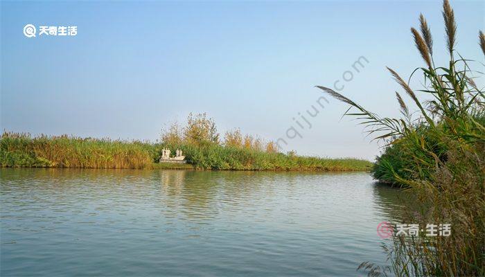 四大淡水湖分别是 四大淡水湖分别是什么湖