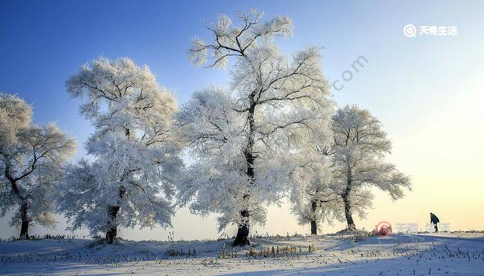 瑞雪兆丰年的下一句瑞雪兆丰年下一句农谚