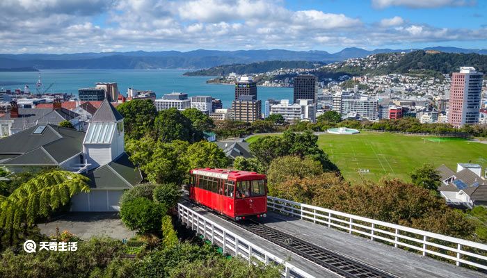 新西兰首都是哪个城市