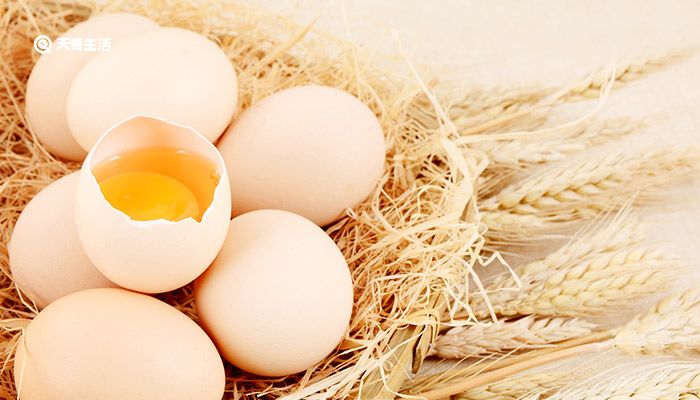 鸽子蛋与鸡蛋的营养有什么不同