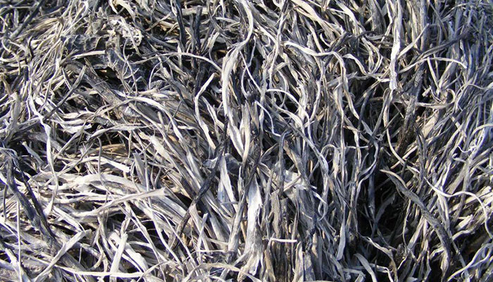 草木灰的主要成分 草木灰有哪些主要成分