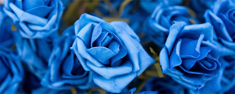 蓝玫瑰的寓意是什么 蓝玫瑰象征什么意义