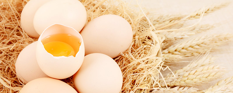 鸡蛋能放多久 鸡蛋可以放多久