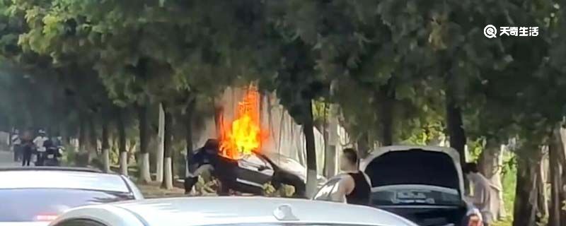 广州一特斯拉撞树后自燃：Model 3高速驾驶导致失控