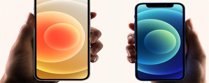 iPhone13或有日落金玫瑰金是什么情况 iphone13新增两种配色曝光