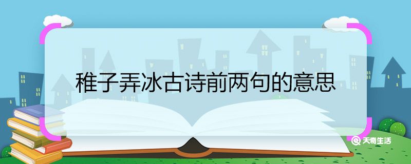 稚子弄冰古诗前两句的意思