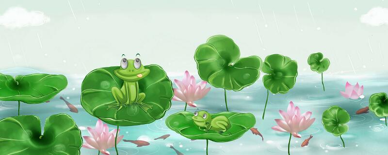 青蛙可以在陆地和水里生活吗 青蛙可以在水里生活吗