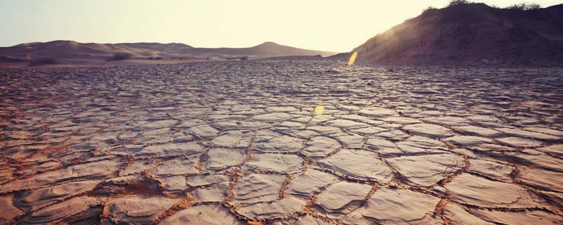 干旱的危害有哪些 干旱的危害
