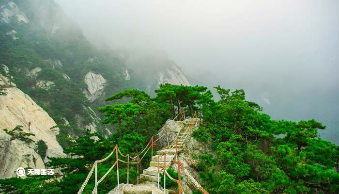 大别山在哪