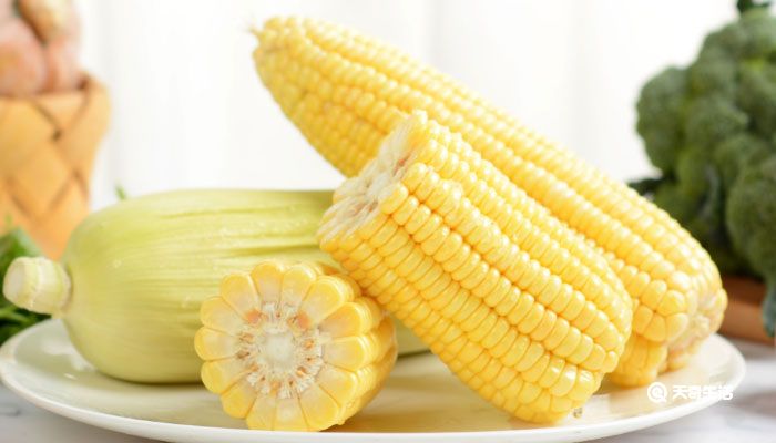 玉米煮多长时间