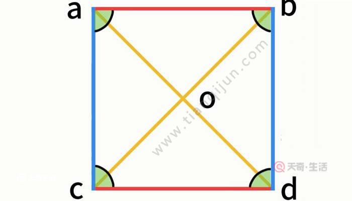 对角线与边的夹角是45°;正方形的两