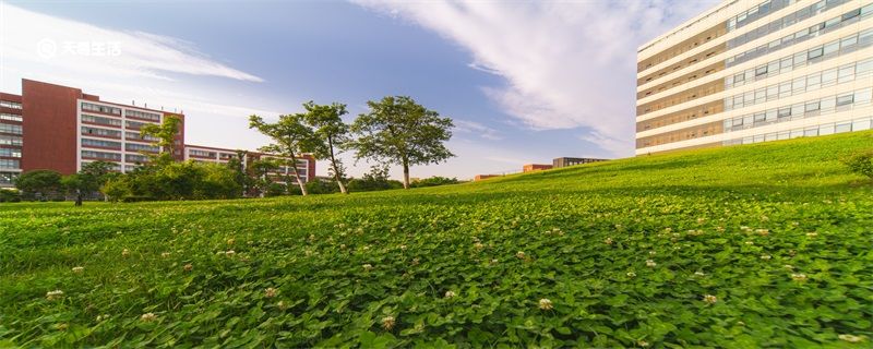 长春中医药大学是几本