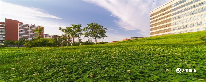 四川大学锦城学院是几本