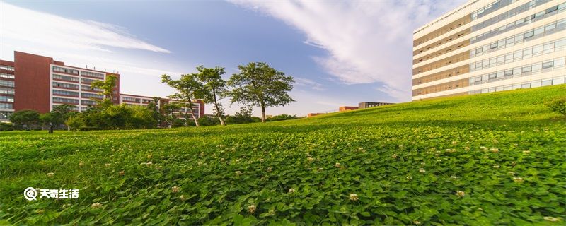 辽宁对外经贸学院是几本