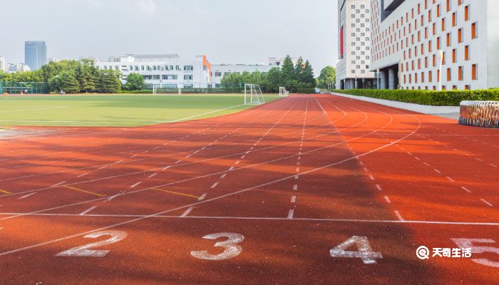 石河子大学是几本