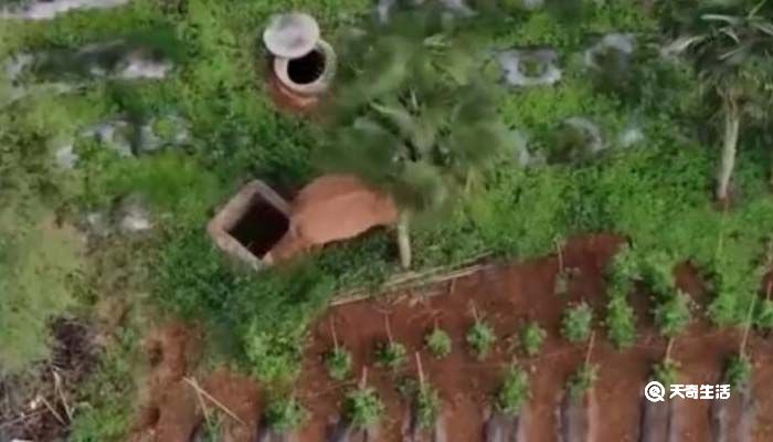 无人机拍下离群小象花式练功：使出大招“顶头功” 树倒叶散
