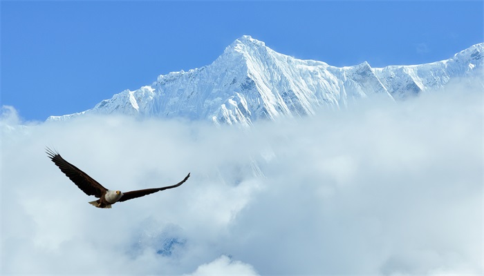 珠峰是哪个国家的 珠峰是中国还是尼泊尔的