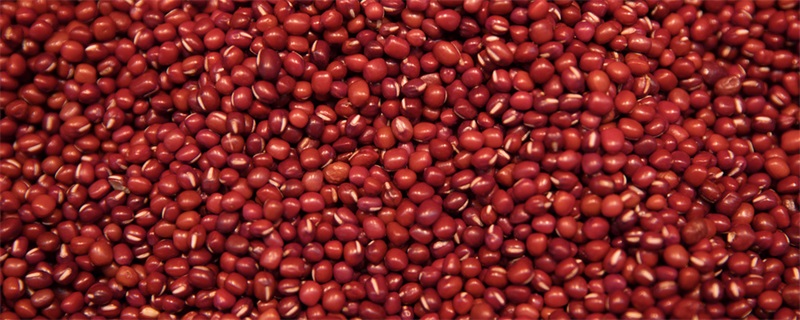 红豆的功效与作用 红豆的功效与作用有哪些