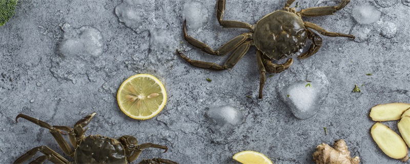 大闸蟹如何保存 怎么保存大闸蟹