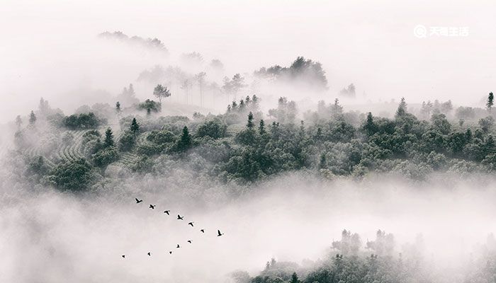 霧和霧霾的區(qū)別