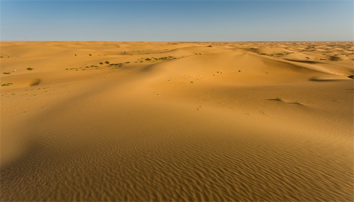 沙漠占地球的百分之几