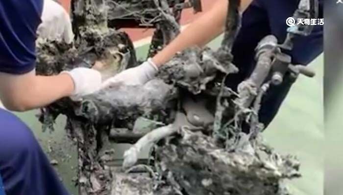 杭州涉事电瓶车商家首发声：经营7年未发生过类似起火事故