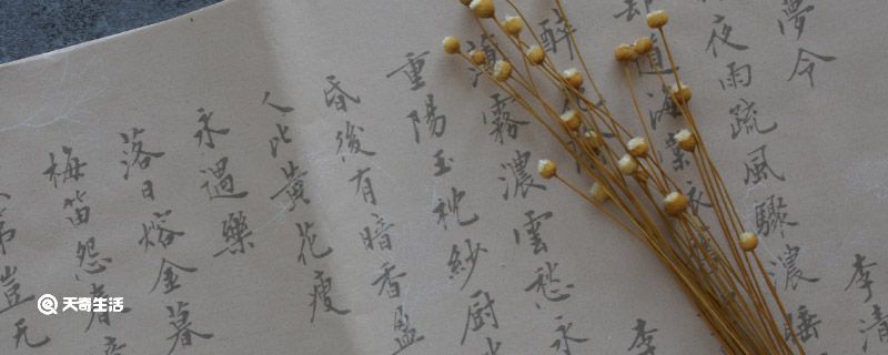 汉字的发展史