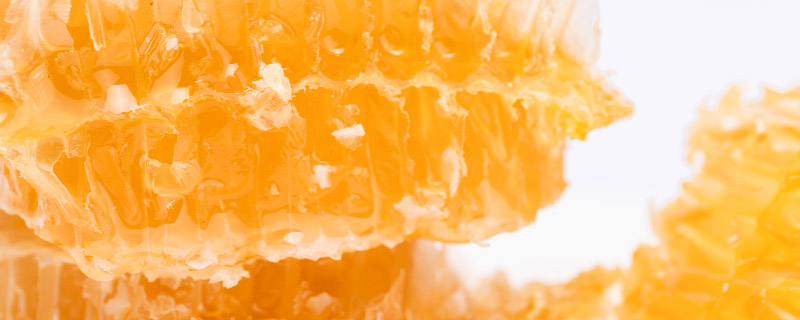白色蜂蜜是什么蜜 白色蜂蜜一般是什么蜜