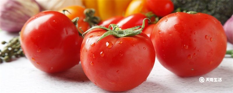 没成熟的青西红柿能吃吗