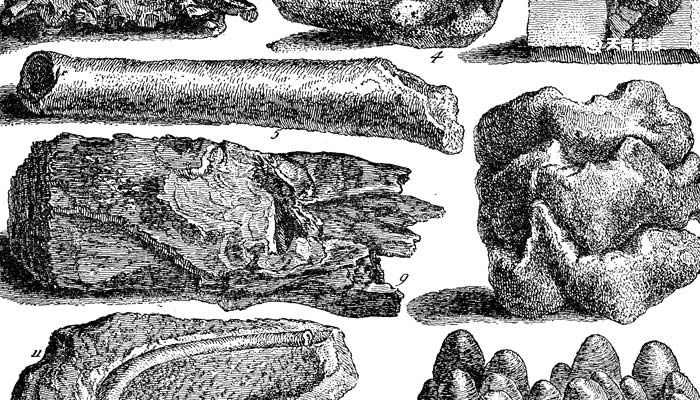 河南发现3万年前现代人,早期现代人化石长什么样
