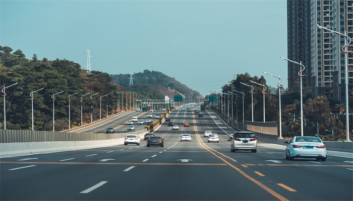 天津高速鸵鸟奔跑车辆纷纷避让,官方:系运输中掉落,已认领