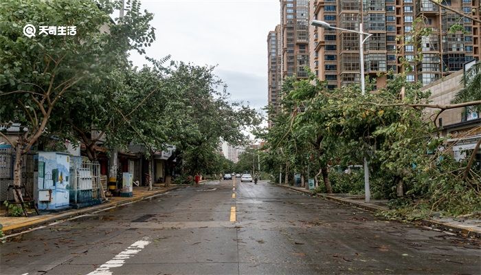 台风停课信号是什么颜色