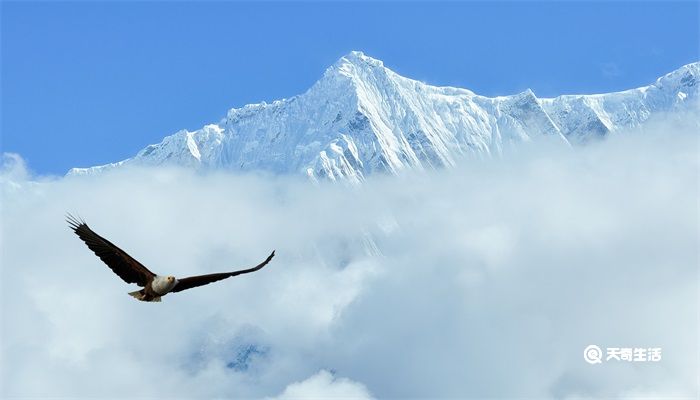 中国登山队第一次登上珠穆朗玛峰是哪一年