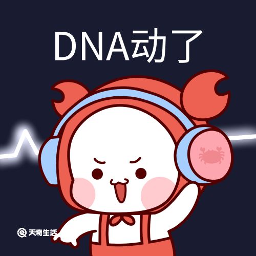 dna动了是什么梗