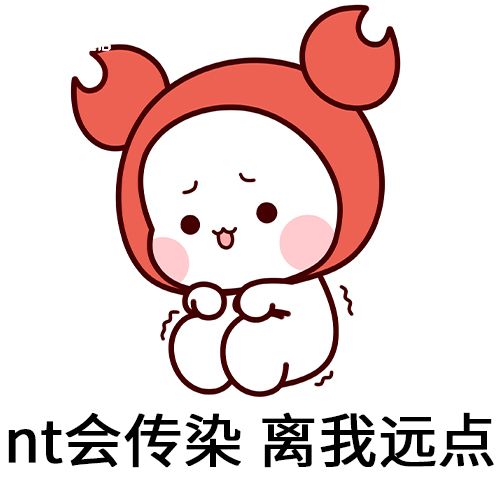 nt是什么梗