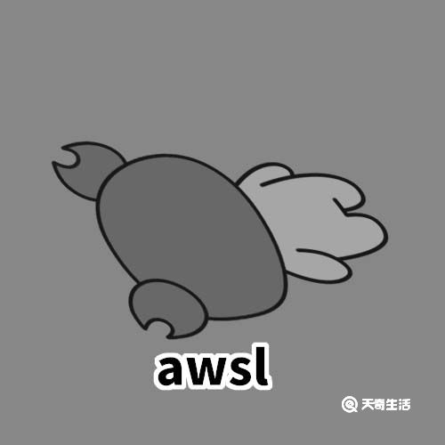 awsl是什么梗