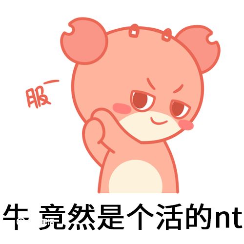 nt是什么梗