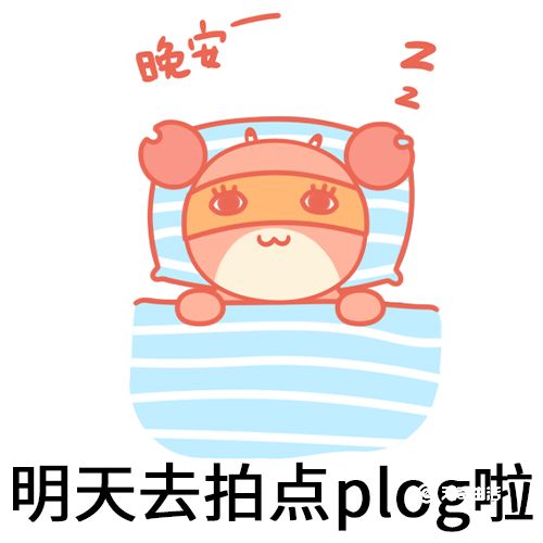 plog是什么梗