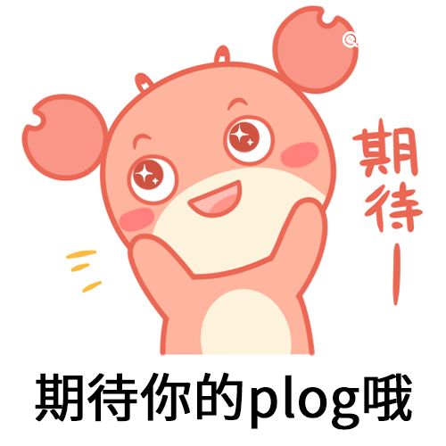 plog是什么梗