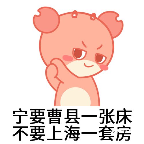 曹县是什么梗