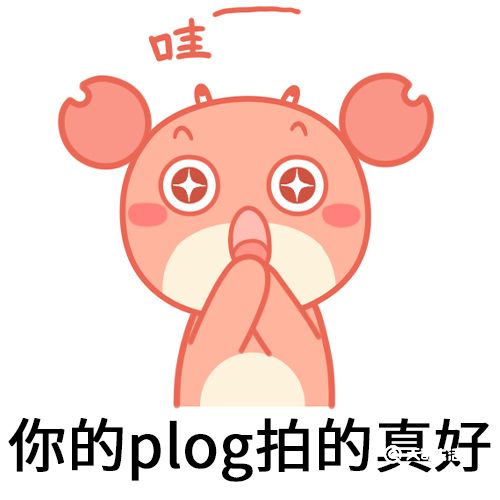 plog是什么梗