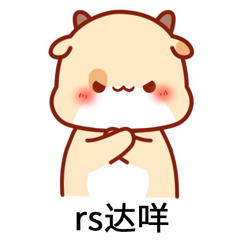 RS是什么梗