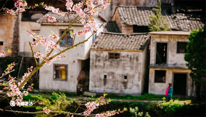 春节是立春吗