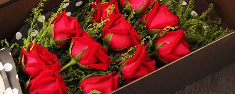 19朵红玫瑰花语是什么 19朵红玫瑰的花语